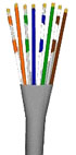 utp2.jpg (10079 bytes)